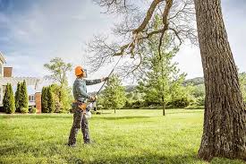 Best Commercial Tree Services  in Nitro, WV