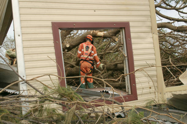 Best Firewood Processing and Delivery  in Nitro, WV